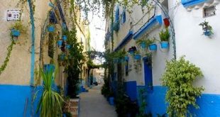 طنجة