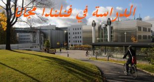 هل تود الدراسة في جامعات فنلندا بالمجان؟ إليك طريقة ذلك