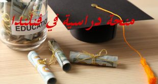 كيف تحصل على منحة دراسية في فنلندا