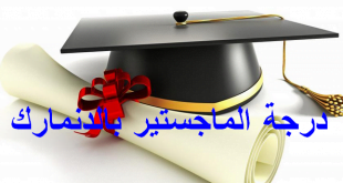 هل تفكر بدراسة سلك الماجستير في الدانمارك؟ تعرف على طريقة ذلك