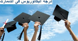 دراسة درجة البكالوريوس في الدنمارك
