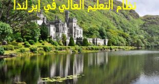 نظام التعليم العالي في إيرلندا